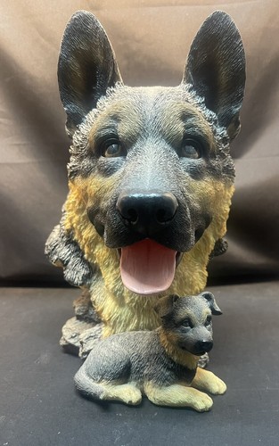 Rare westland german shepherd - westland,