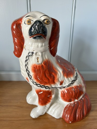 English staffordshire spaniel - english,