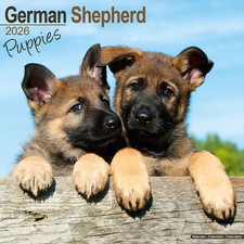 German Shepherd Puppies 2026 Calendar Gift Puppy Wall 15% OFF MULTI ORDERS