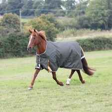 Shires Highlander Plus 50g