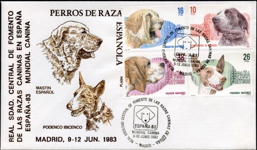 Ibizan hound spanish mastiff - hound,