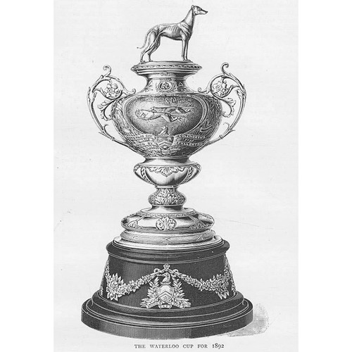 Coursing the waterloo cup - coursing,