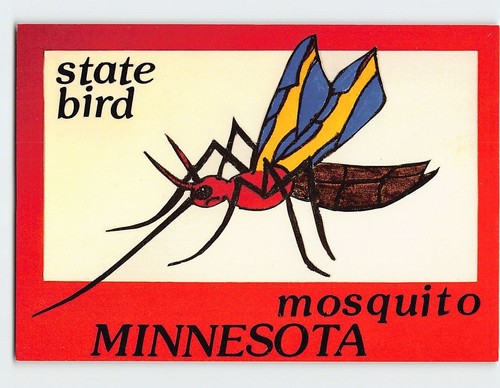 Postcard mosquito state bird - postcard,