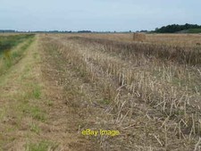 Photo 6x4 Rape stubble and