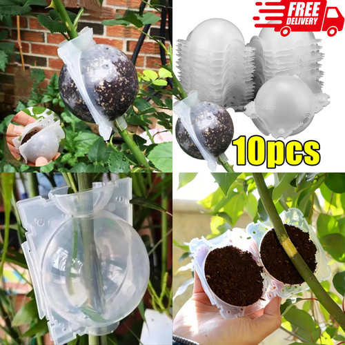 Plant propagation kit 10x - plant, 1/5/10x