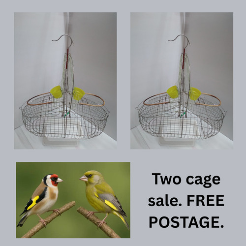 Cages canary finch - canary, end