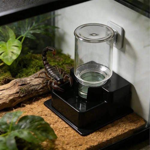 Water dispenser feeder - water,