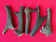 One Piece of Natural Deer Antlers Size XL, BUY THREE GET ONE FREE !!!!!