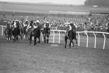 DANCING BRAVE 2000 GUINEAS 1986 PHOTO PRINT HORSE RACING NEWMARKET