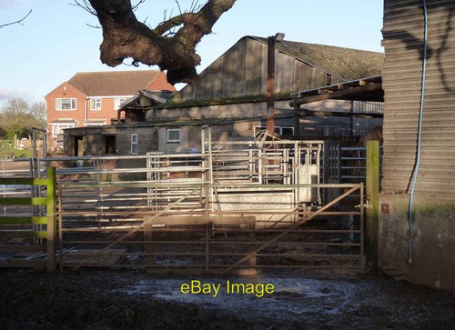 Photo 6x4 cattle crush dene - photo,