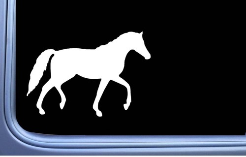 Natural walking horse sticker - walking,