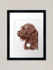 Chocolate labradoodle framed - chocolate,