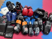 Martial Art MMA Sparring