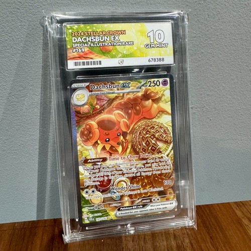 Pokemon tcg dachsbun ex - tcg,
