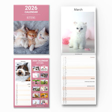 2026 Kittens Cats Slim Month To View Wall Office Home Planner Organiser Calendar