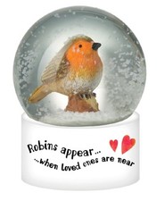 Heaven sends large robins - heaven,
