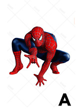 Pre Cut Various Size & Design Spiderman Cake Toppers Decoration