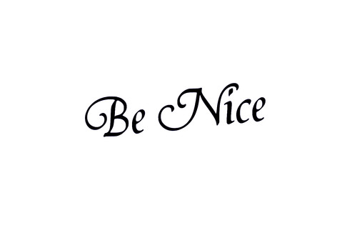 Nice car van ev - be,