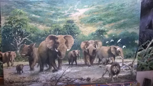 New stunning original joel - new,