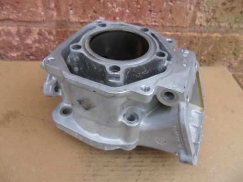 Rotax max senior - senior,