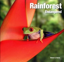 Rainforest