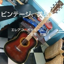 Ibanez Silver Cadet Acoustic