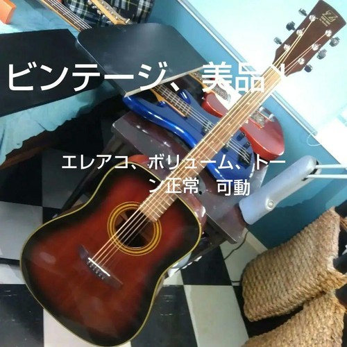 Ibanez silver cadet acoustic - silver,