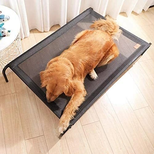 Elevated dog bed pet raised - elevated,