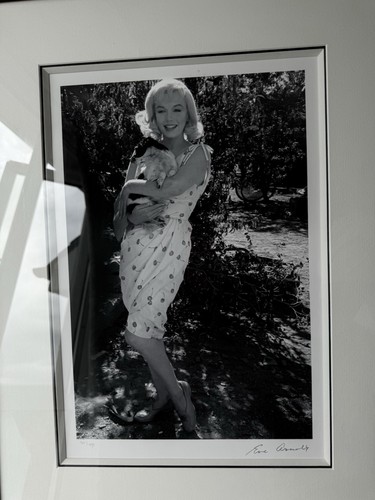 Eve arnold title - eve,