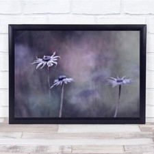 Wither Flower Toned Macro