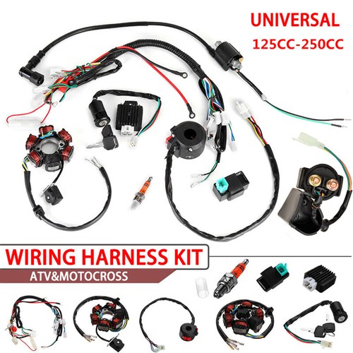 Motorcycleatv full electrics - motorcycleatv,