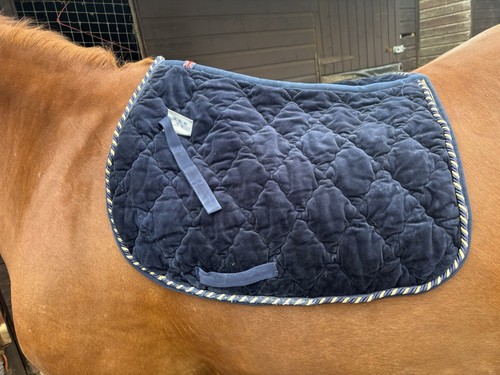 Cob size velvet - velvet, pad