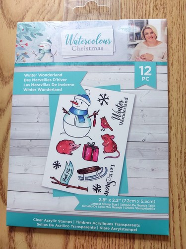 Watercolour christmas winter - watercolour,
