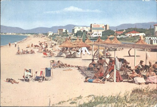 Vintage postcard mallorca - vintage,