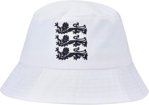 Lions traditional england - traditional,