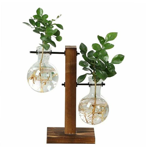 Glass bulb vase - glass, wooden