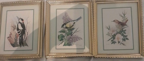 Vintage bird prints - 3,