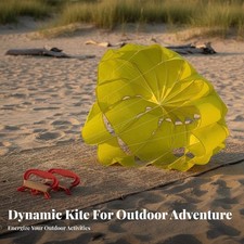 Two line power kite - two-line,