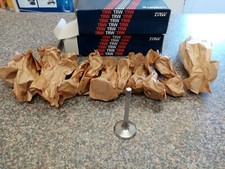 Lotus Carlton Omega Inlet