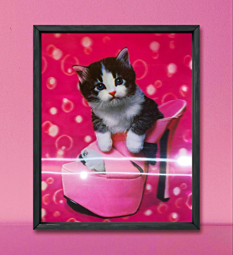Framed cat print - framed,