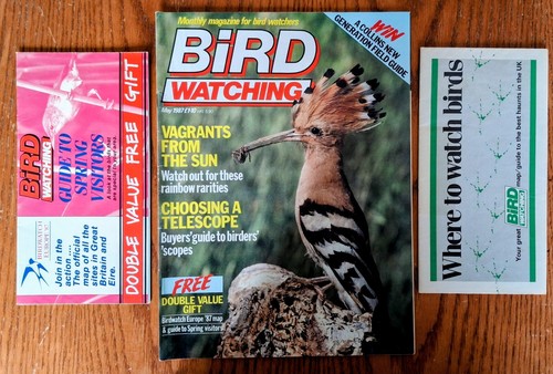 Bird watching magazine 2 - bird,
