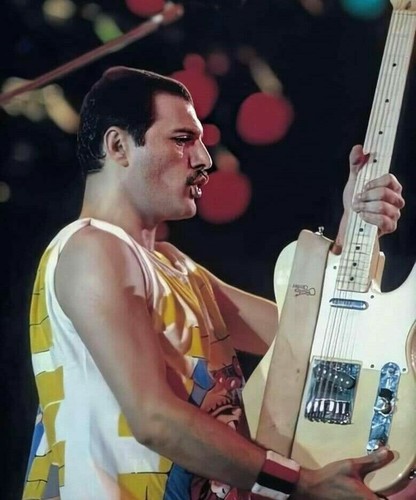 Freddie mercury photo - freddie,