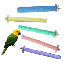 Bird Perch – Beak & Claw