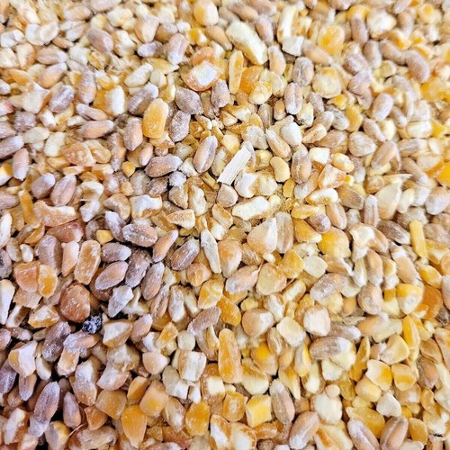 Mixed corn poultry feed - mixed,