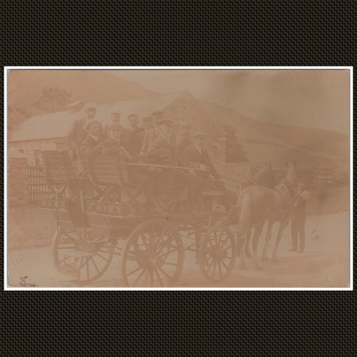 Horse drawn carriage with - horse-drawn,