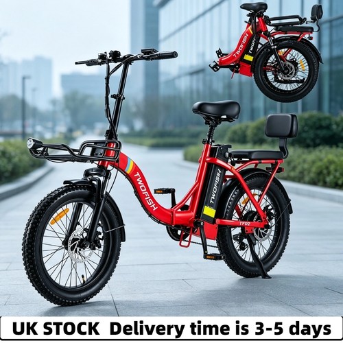 Twofish folding electric bike - folding,