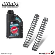 Linear springs kit Bitubo