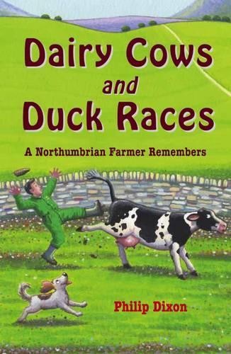 Dairy cows and - duck, a