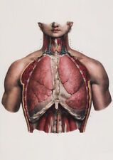 ML10 Vintage 1800's Medical