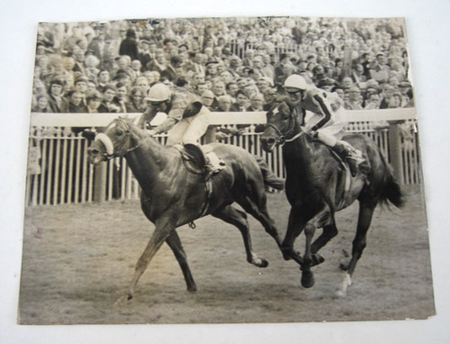 Original press photo - photo, york